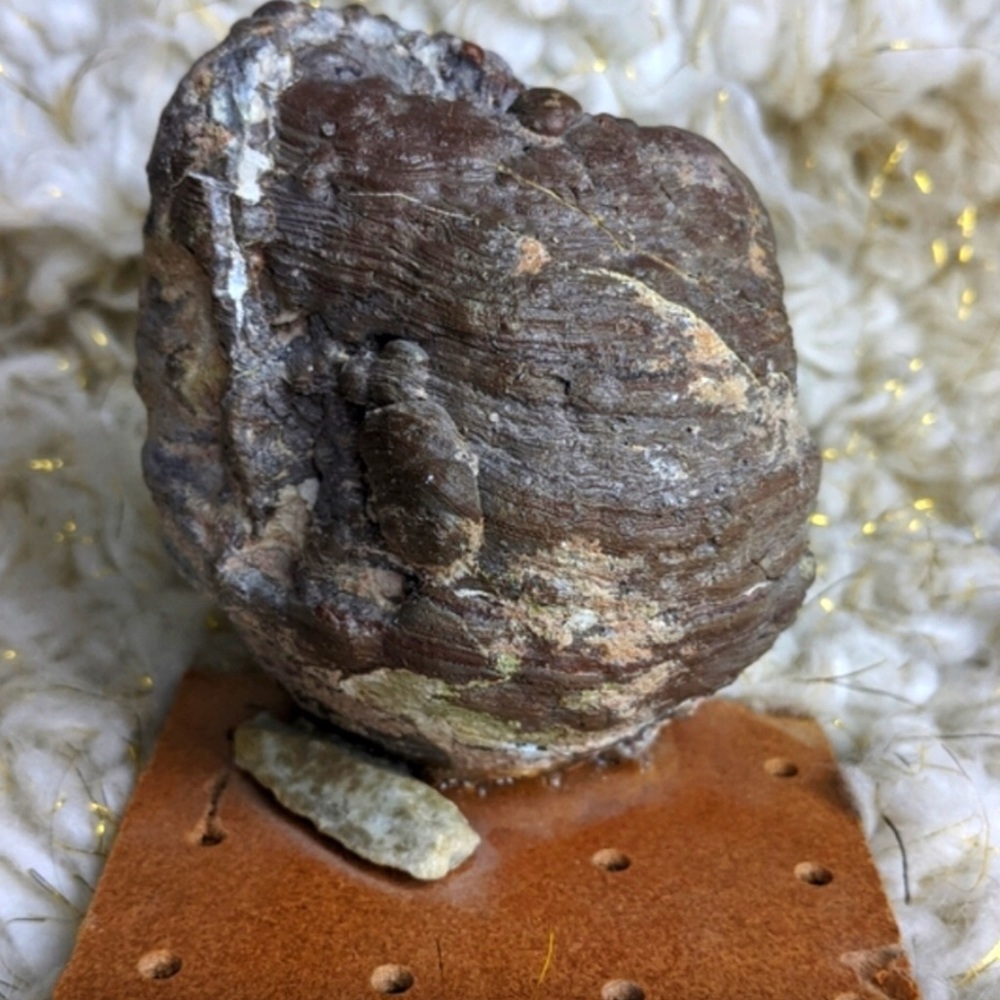 Galaxy Geode Quartz Druzy Crystal - Picture 7 of 11